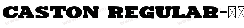 Caston Regular字体转换
